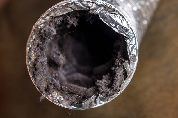 Best HVAC System Cleaning  in Glyndon, MN