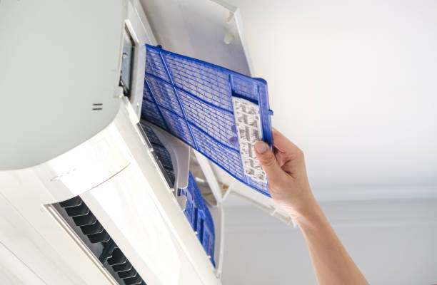 Air Duct Mold Removal in MN
