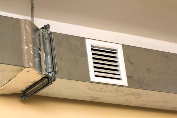 Best Air Duct Mold Removal  in Glyndon, MN